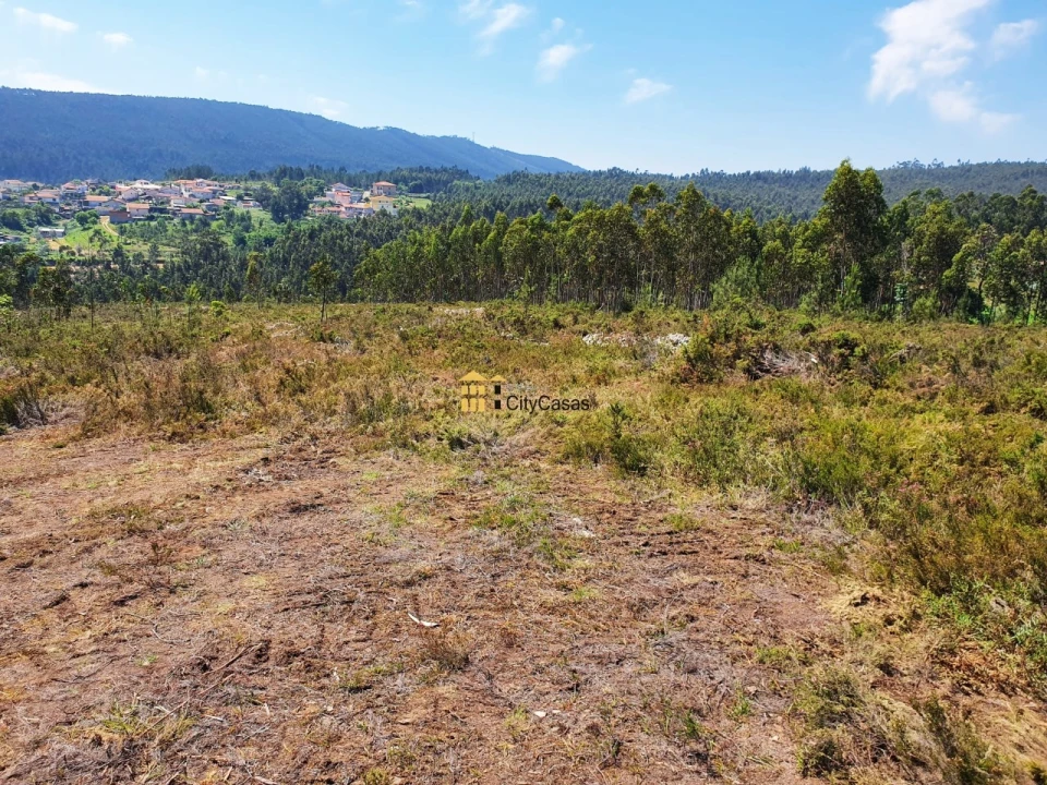 Terreno para Venda em Melres e Medas Foto 5