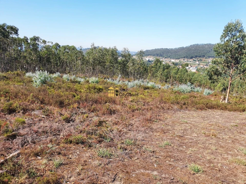 Terreno para Venda em Melres e Medas Foto 7