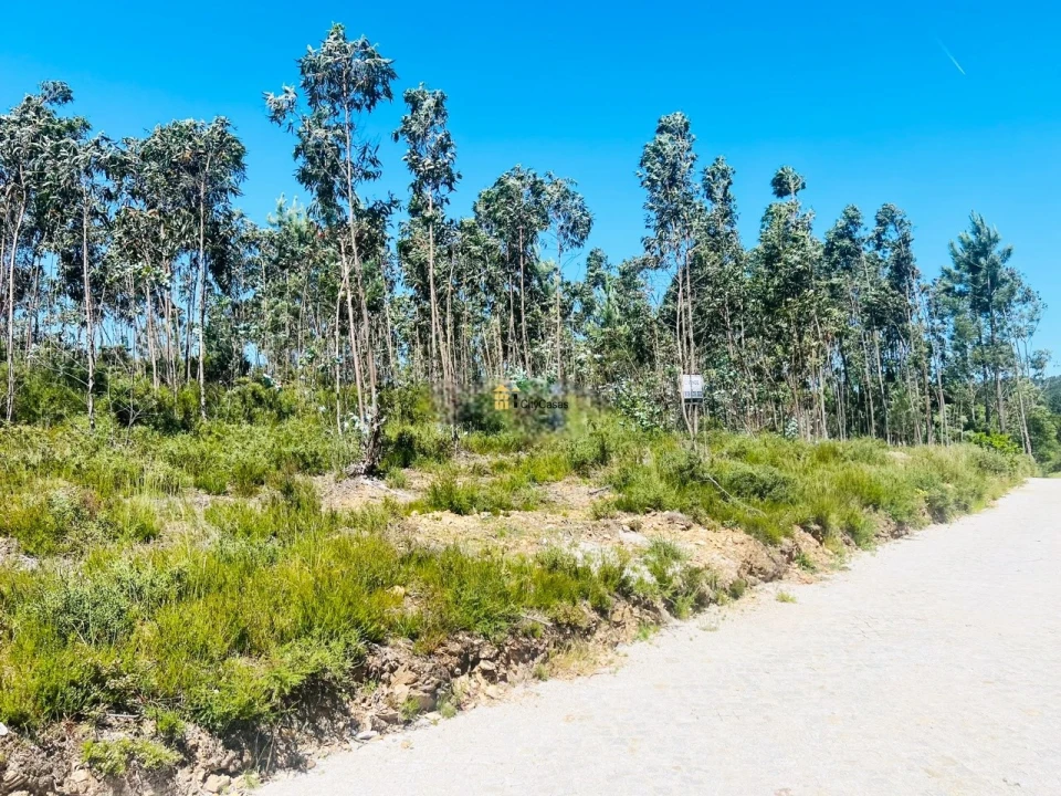 Terreno para Venda em Melres e Medas Foto 11