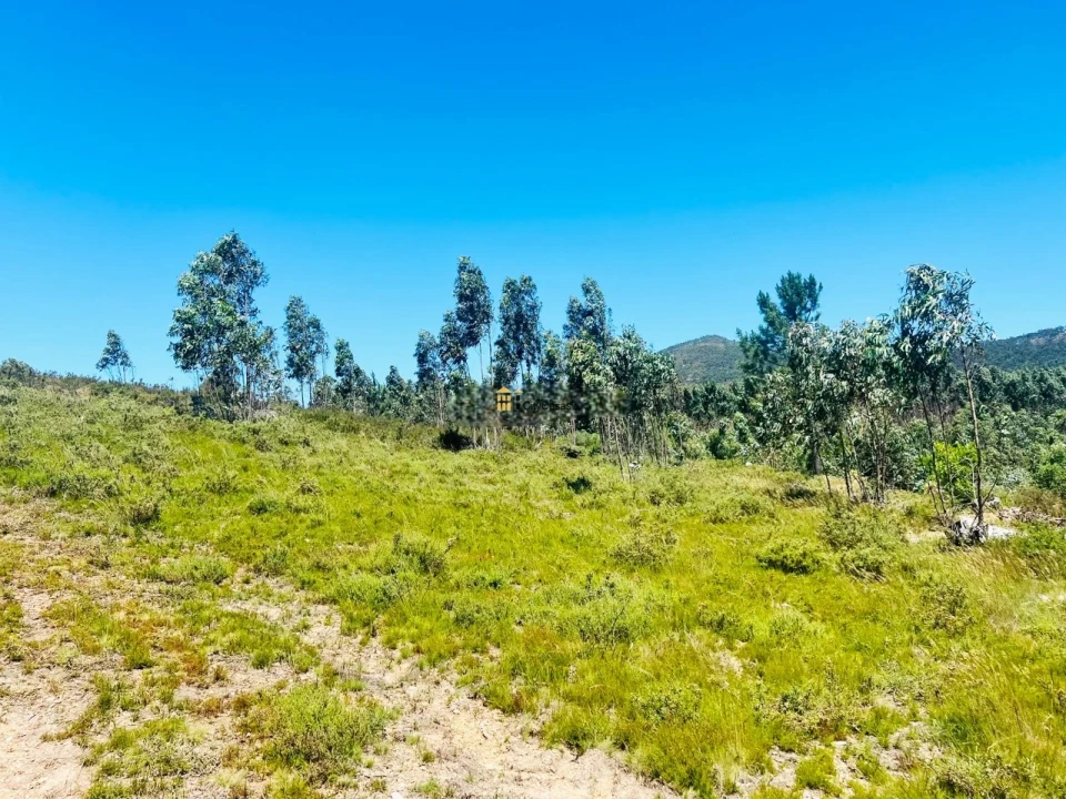 Terreno para Venda em Melres e Medas Foto 13