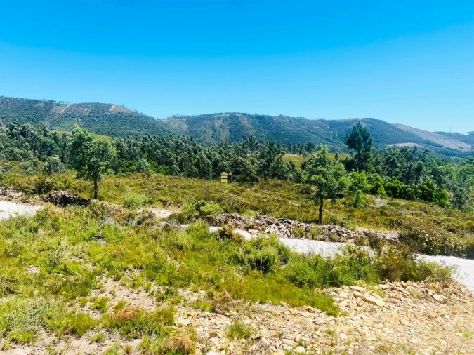 Terreno para Venda em Melres e Medas Foto 2