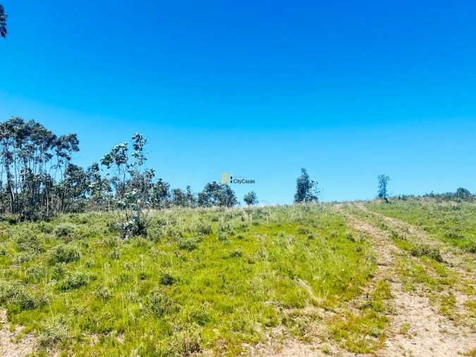 Terreno para Venda em Melres e Medas Foto 4