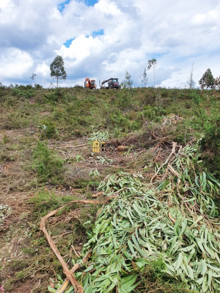 Terreno para Venda em Melres e Medas Foto 8
