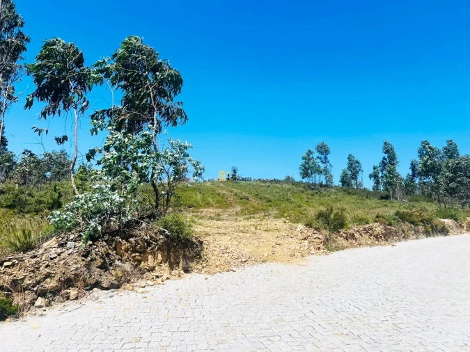 Terreno para Venda em Melres e Medas Foto 10