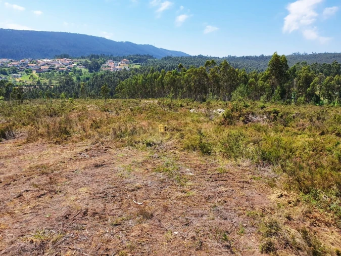 Terreno para Venda em Melres e Medas Foto 15