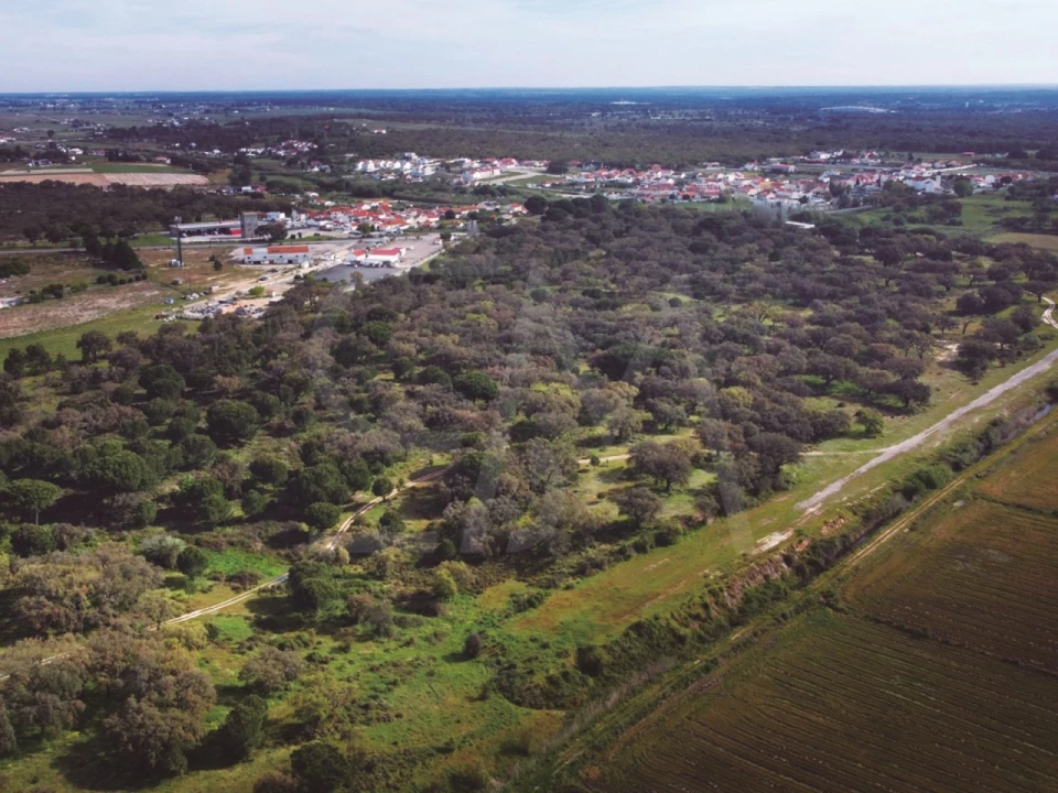 Terreno para Venda em Poceirão e Marateca Foto 12