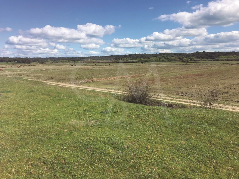 Terreno para Venda em Poceirão e Marateca Foto 17