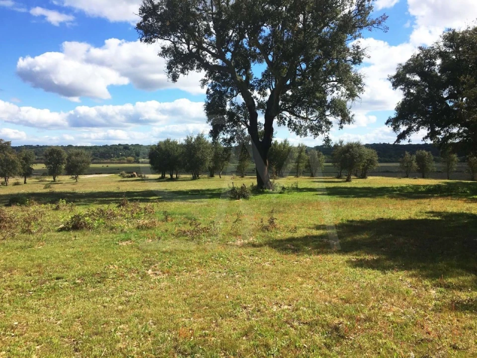 Terreno para Venda em Poceirão e Marateca Foto 23