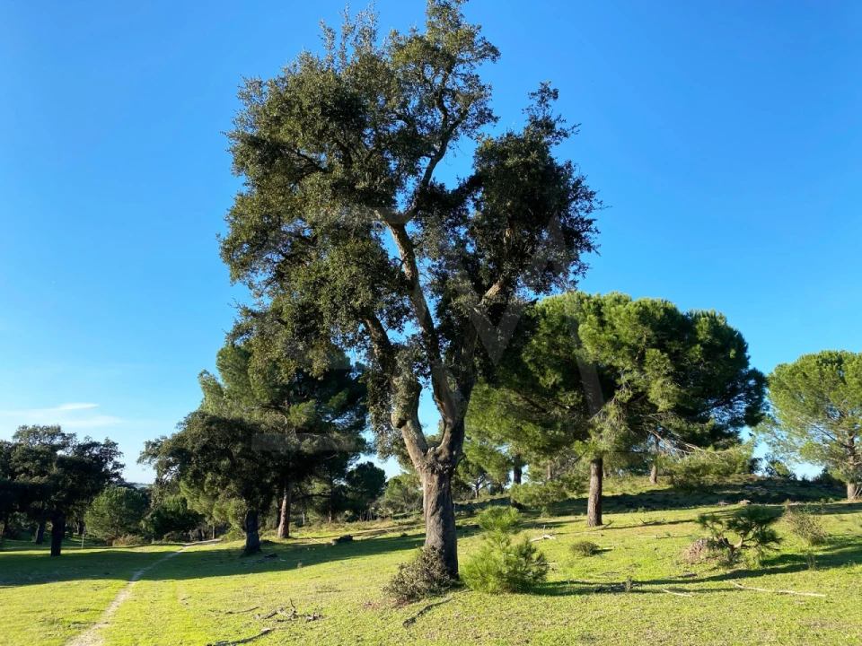 Terreno para Venda em Poceirão e Marateca Foto 1
