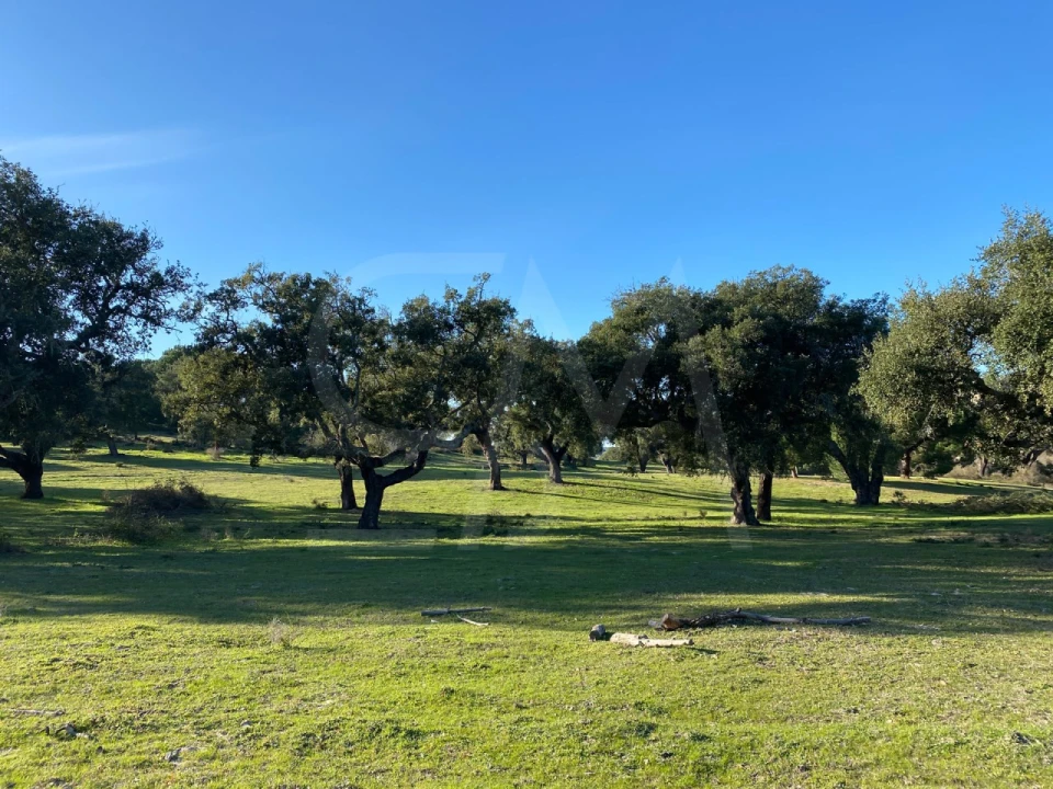 Terreno para Venda em Poceirão e Marateca Foto 2