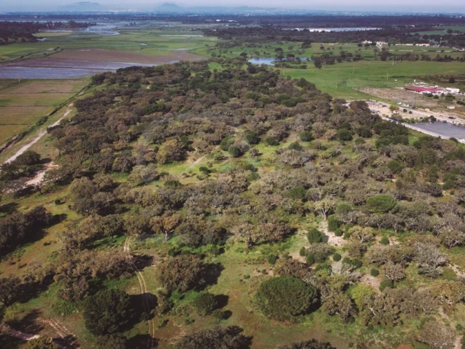 Terreno para Venda em Poceirão e Marateca Foto 9