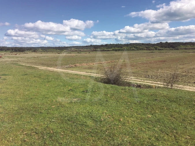 Terreno para Venda em Poceirão e Marateca Foto 17