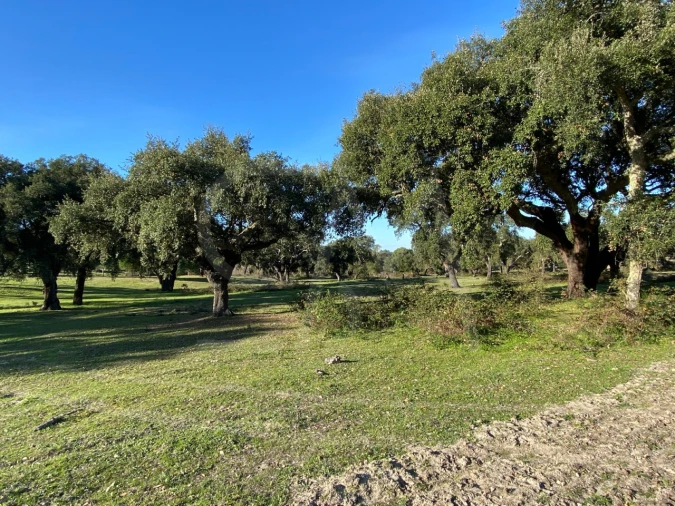 Terreno para Venda em Poceirão e Marateca Foto 25