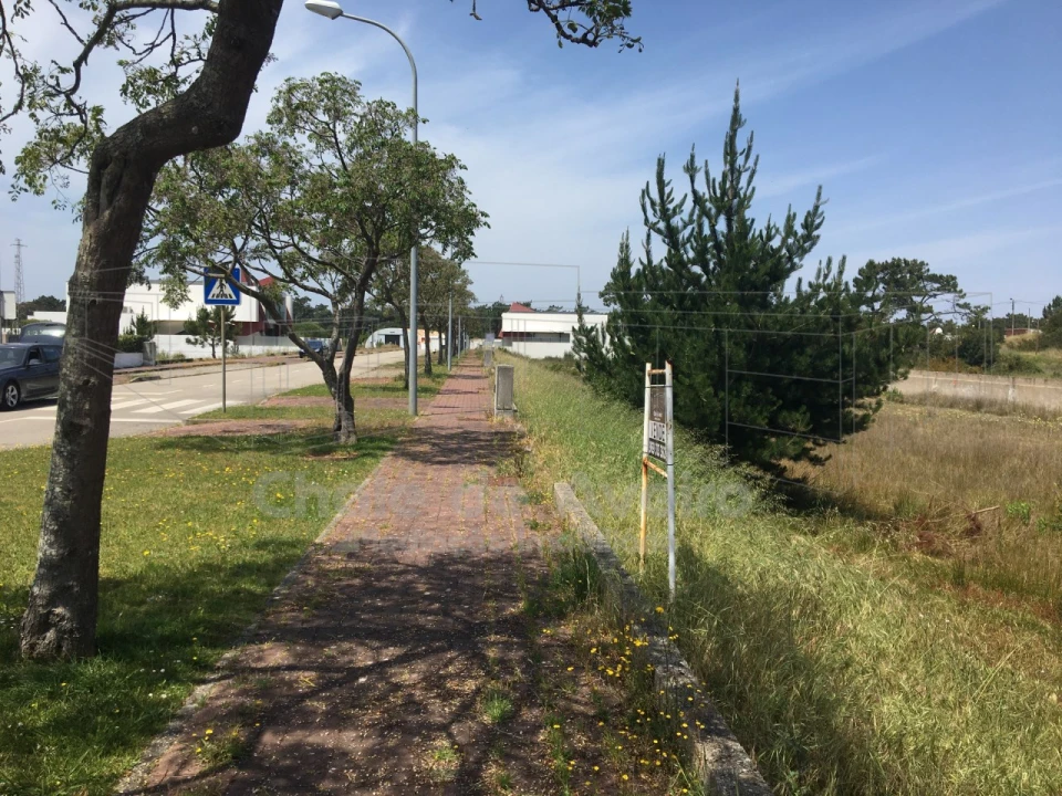 Terreno para Venda em São Jacinto Foto 21