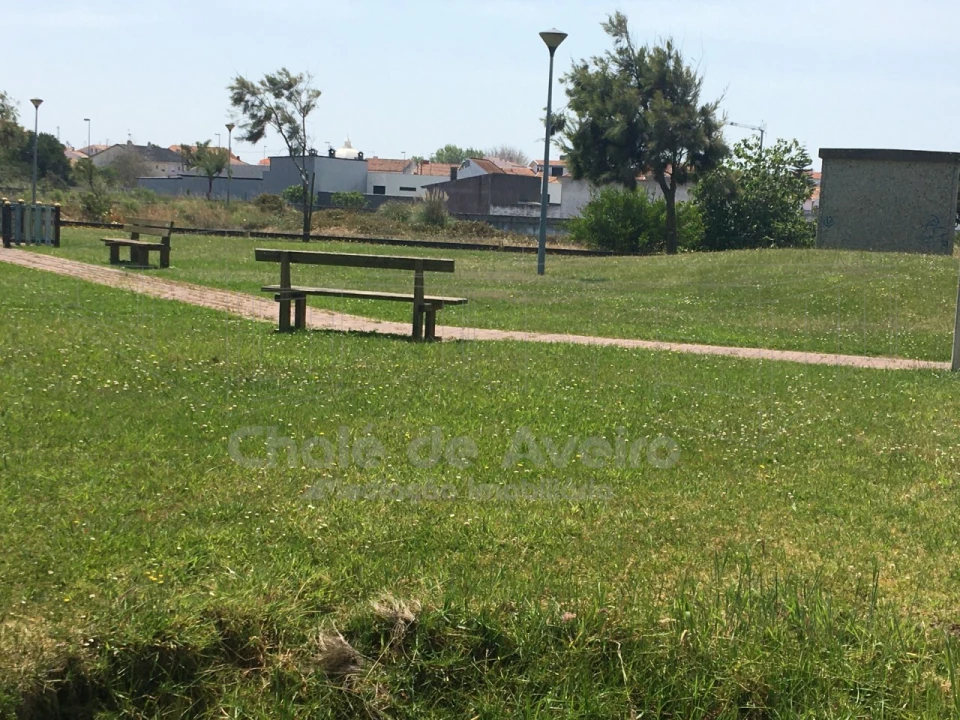 Terreno para Venda em São Jacinto Foto 23