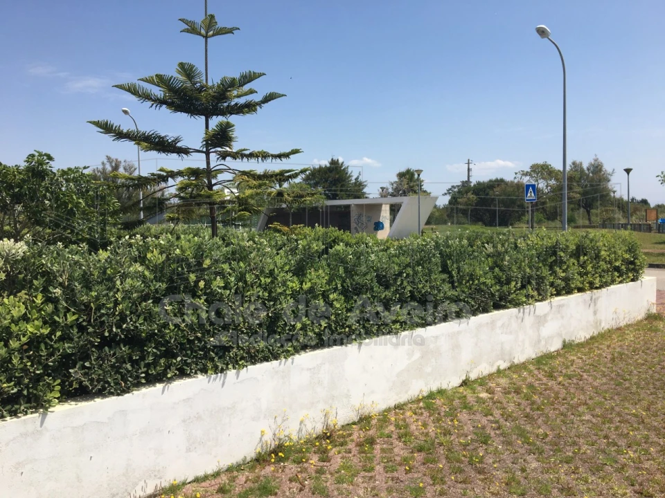 Terreno para Venda em São Jacinto Foto 35