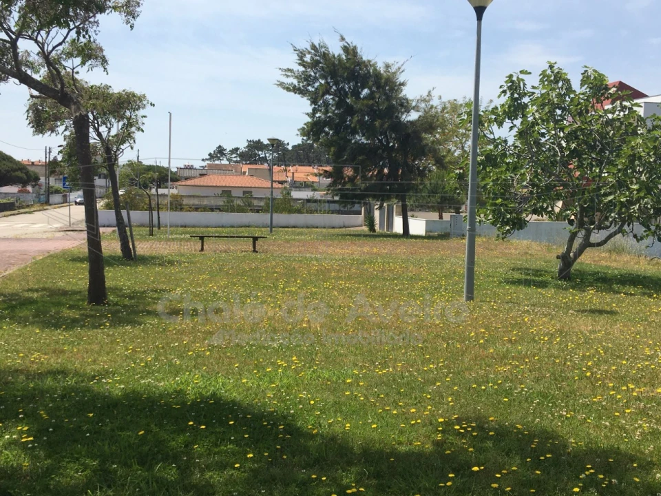 Terreno para Venda em São Jacinto Foto 1