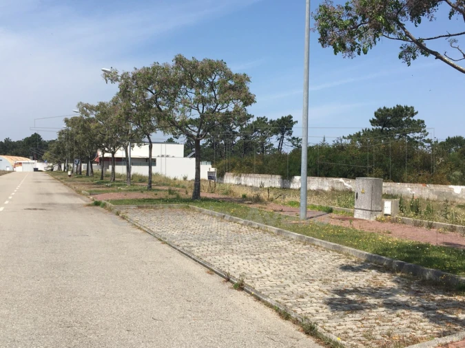 Terreno para Venda em São Jacinto Foto 19