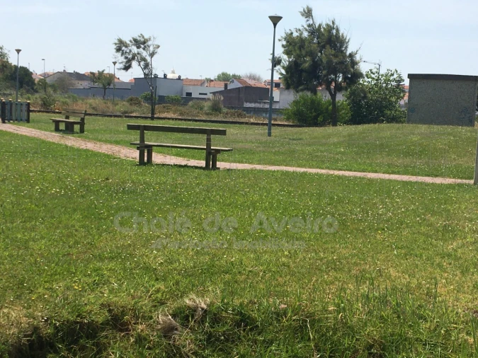 Terreno para Venda em São Jacinto Foto 23