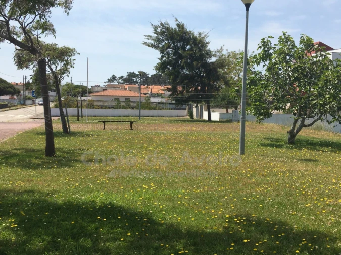 Terreno para Venda em São Jacinto