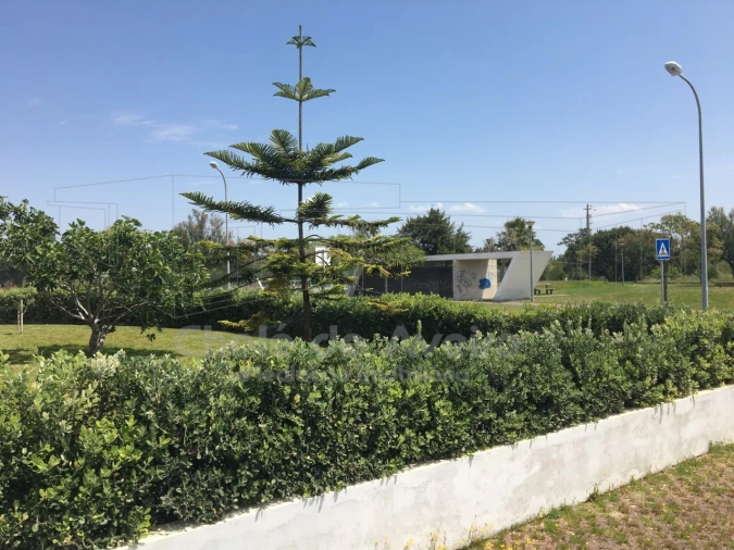 Terreno para Venda em São Jacinto Foto 36