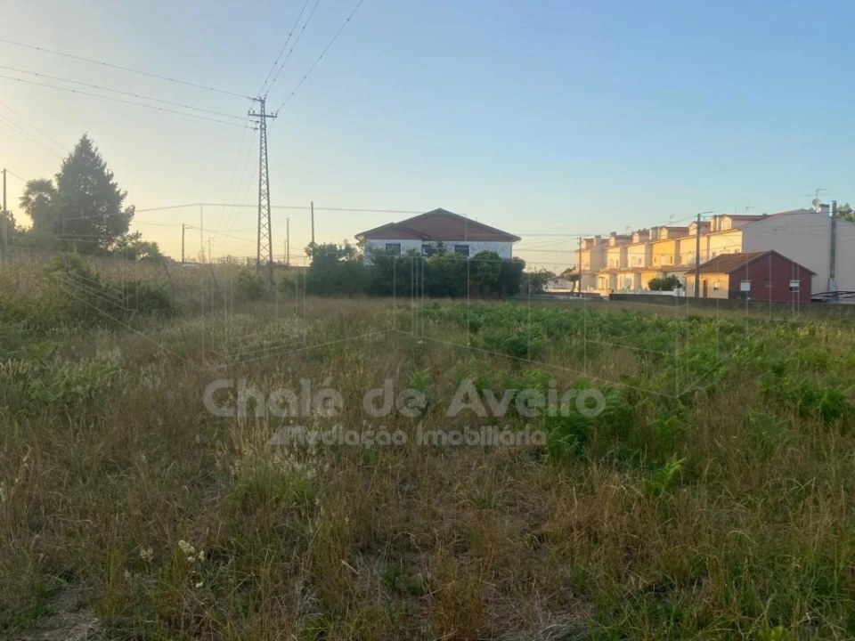 Terreno para Venda em Trofa, Segadães e Lamas do Vouga Foto 8