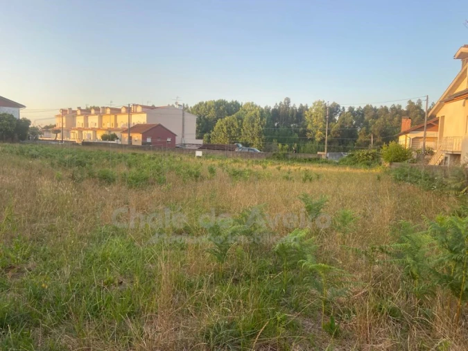 Terreno para Venda em Trofa, Segadães e Lamas do Vouga Foto 6