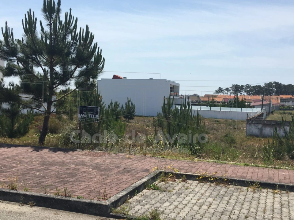 Terreno para Venda em São Jacinto Foto 1