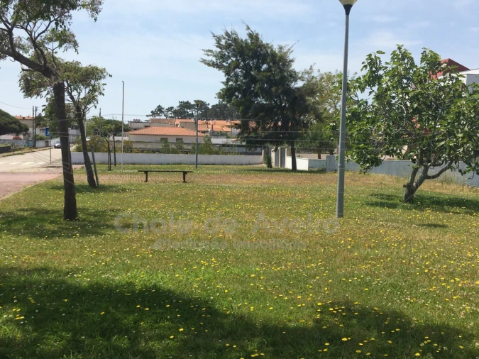 Terreno para Venda em São Jacinto Foto 29