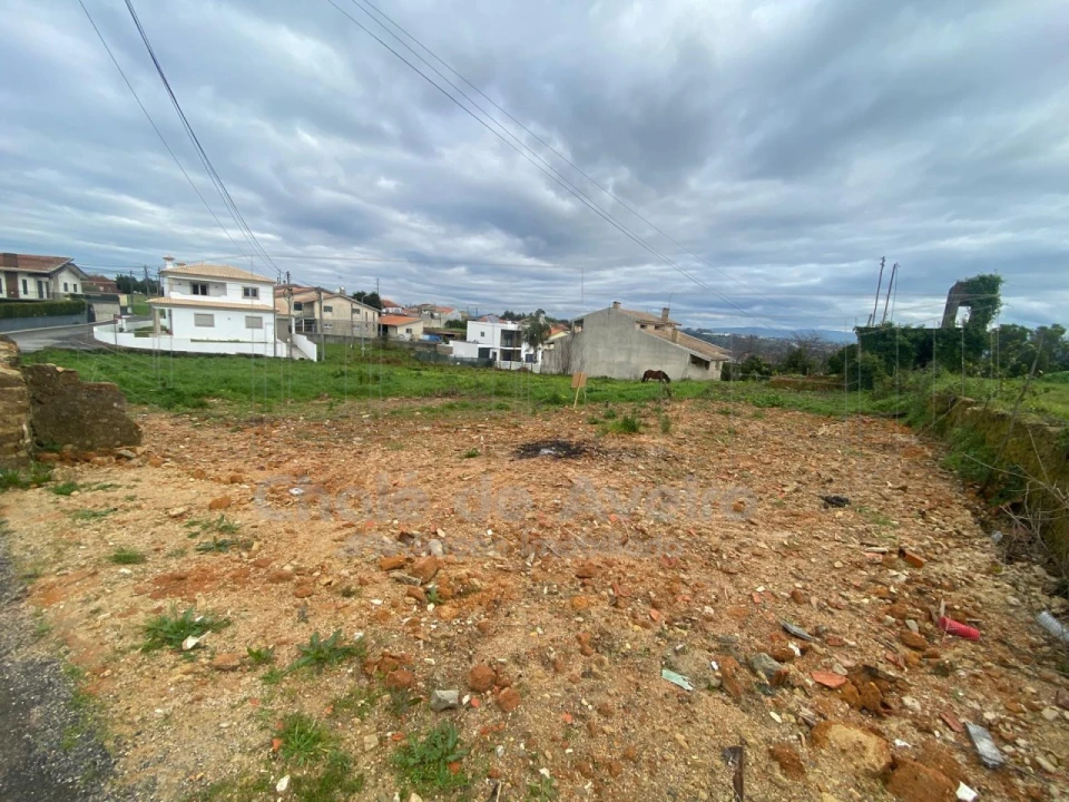 Terreno para Venda em Oliveira do Bairro Foto 1