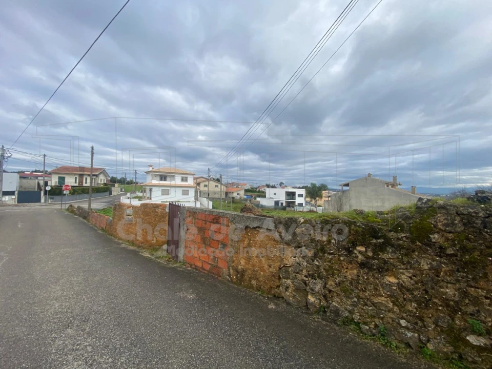 Terreno para Venda em Oliveira do Bairro Foto 4