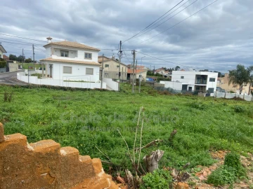 Terreno para Venda em Oliveira do Bairro