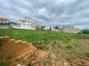 Terreno para Venda em Oliveira do Bairro