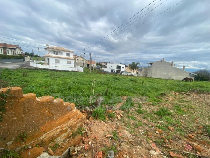 Terreno para Venda em Oliveira do Bairro Foto 3