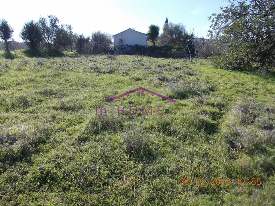 Terreno para Venda em Salir Foto 2