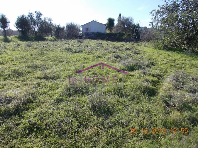 Terreno para Venda em Salir Foto 2