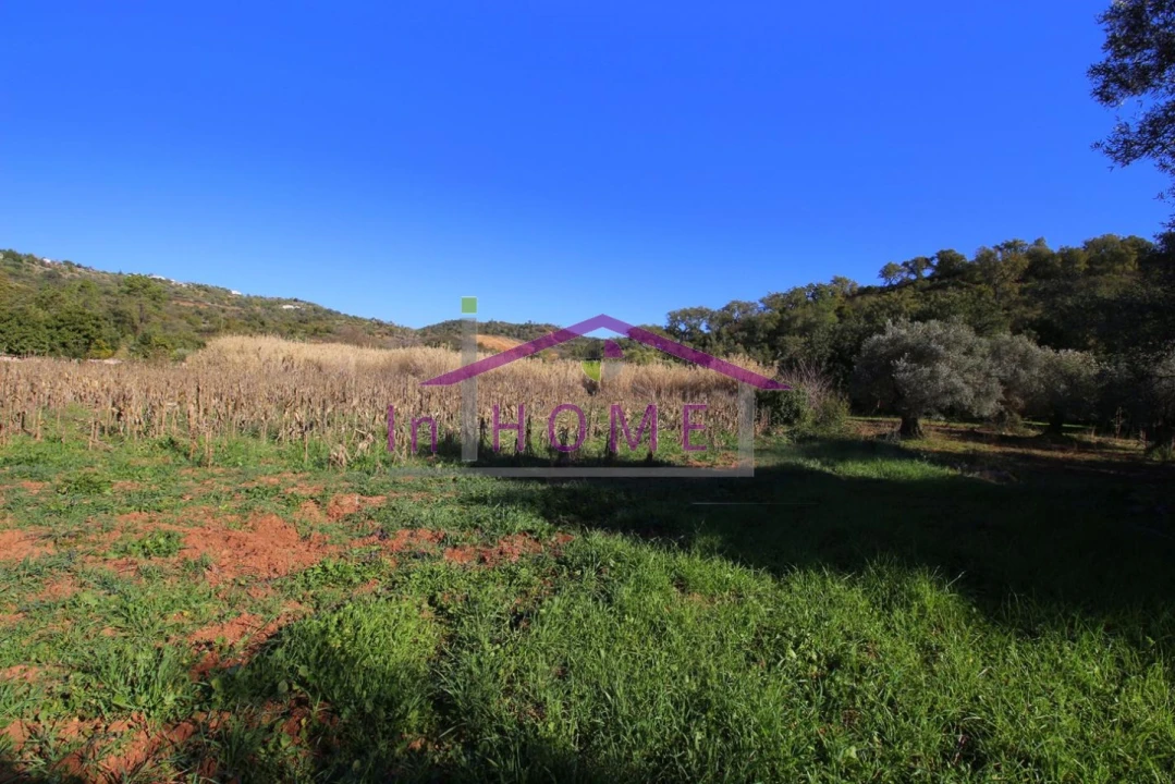 Terreno para Venda em Querença, Tôr e Benafim Foto 2