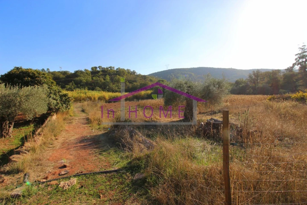Terreno para Venda em Querença, Tôr e Benafim Foto 4