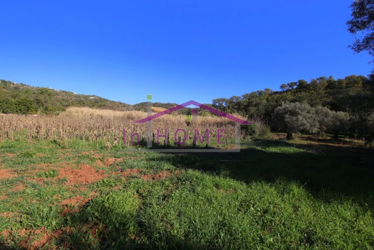 Terreno para Venda em Querença, Tôr e Benafim Foto 2