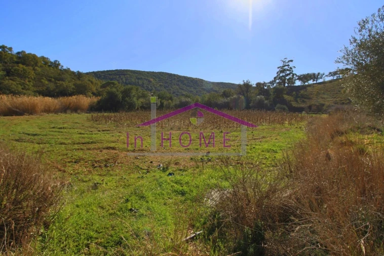 Terreno para Venda em Querença, Tôr e Benafim Foto 6