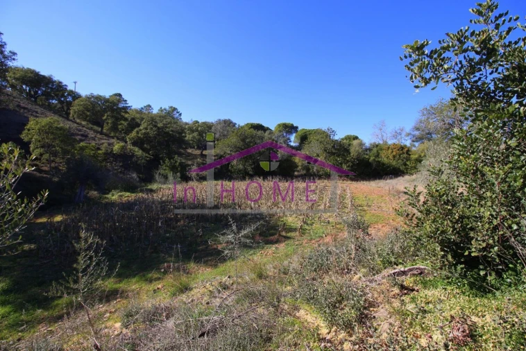 Terreno para Venda em Querença, Tôr e Benafim Foto 7