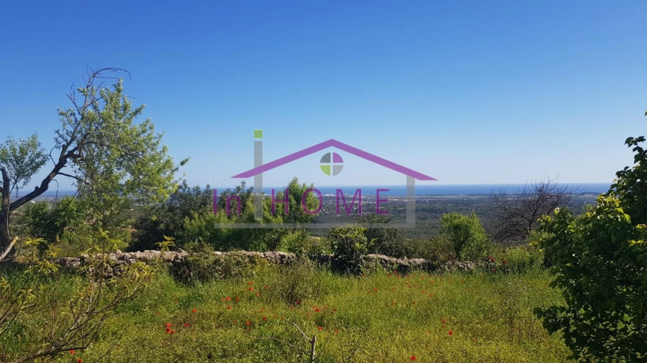 Terreno para Venda em Boliqueime Foto 6