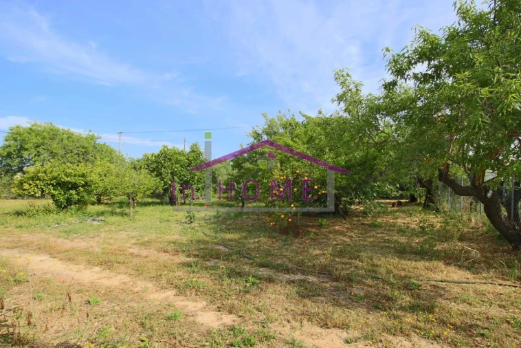 Terreno para Venda em Boliqueime Foto 4