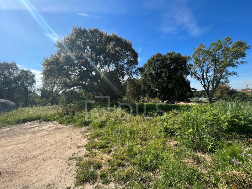 Terreno para Venda em Gulpilhares e Valadares Foto 2