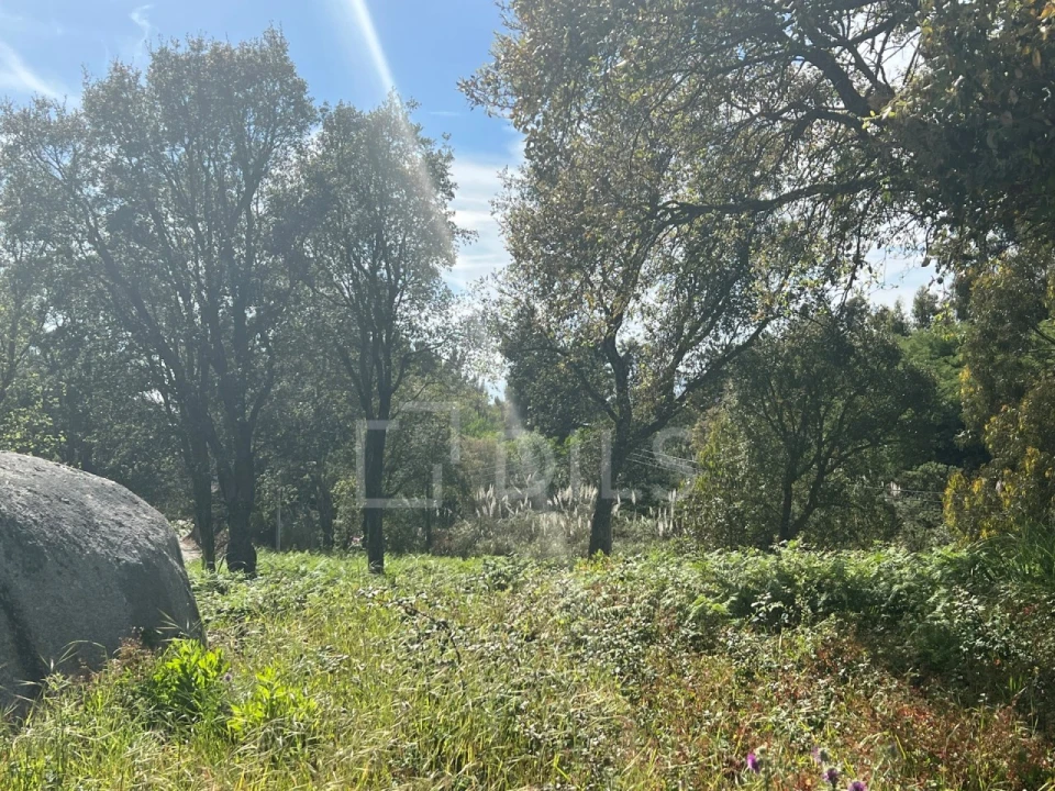 Terreno para Venda em Gulpilhares e Valadares Foto 6