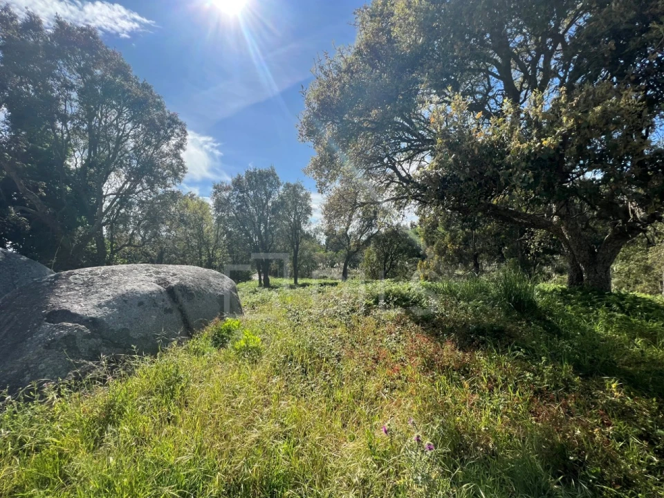 Terreno para Venda em Gulpilhares e Valadares Foto 11