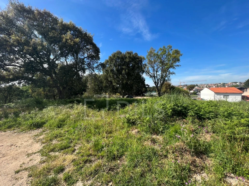 Terreno para Venda em Gulpilhares e Valadares Foto 13