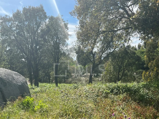 Terreno para Venda em Gulpilhares e Valadares Foto 6