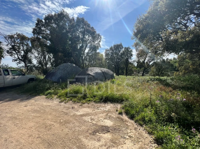 Terreno para Venda em Gulpilhares e Valadares Foto 7