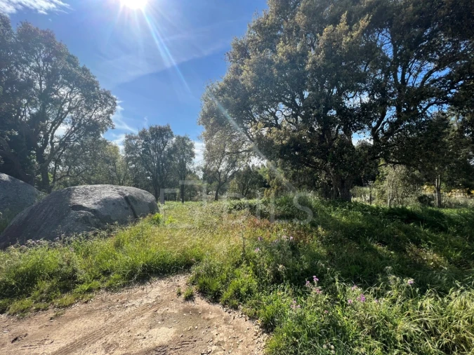 Terreno para Venda em Gulpilhares e Valadares Foto 9